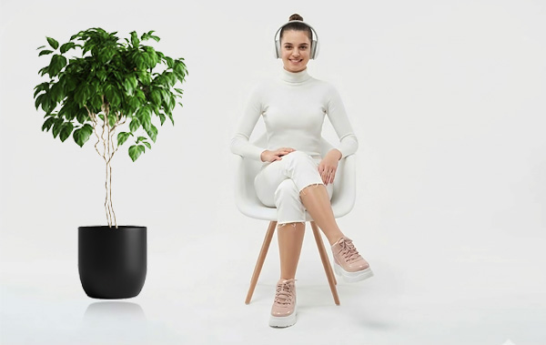 Webina Ai Talking Agent